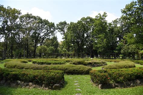 圓形花圃|台中免費景點